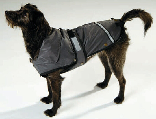 2 in 1 Outdoor Hundejacke.