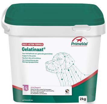 Primeval Gelatinate CHIEN. --- Pour maintenir des articulations saines et des os solides chez votre chien.