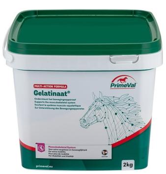 Primeval Gelatinate PAARD. --- Fördert die Gelenkschmierung, sorgt für einen gesunden und widerstandsfähigen Knorpel.