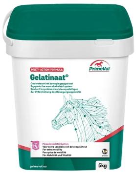 Primeval Gelatinate PAARD. --- Fördert die Gelenkschmierung, sorgt für einen gesunden und widerstandsfähigen Knorpel.