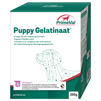 Primeval Gelatinate Puppy 350 gr. --- Un integratore alimentare unico per la creazione e la costruzione della cartilagine nelle articolazioni, in un cucciolo in crescita.