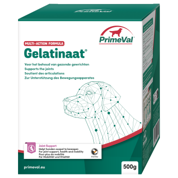 Primeval Gelatinate CHIEN. --- Pour maintenir des articulations saines et des os solides chez votre chien.