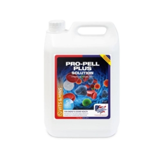 Equine America ProPell Plus.    Rich in iron, multivitamin and mineral, with Echinacea, to stimulate red blood cell production and the immune system.