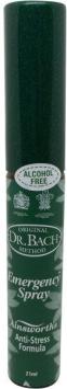 Ainsworths Bach Recovery Remedy Plus Spray 21ml.