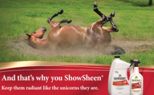 Absorbine ShowSheen.