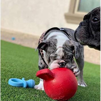 Tug-N-Toss Jolly Ball Chiens et petits chevaux.