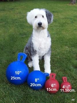 Tug-N-Toss Jolly Ball voor honden en kleine paarden