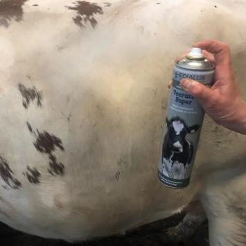 Veerust Super Bétail 600 ml. --- Veerust Super Bétail est un spray prêt à l'emploi contre les mouches sur les vaches.