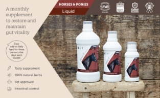 Verm-X LIQUID Horses. Natural dewormer for horses.