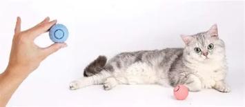 WLOOM Power Ball 2.0 --- Interaktives Katzenspielzeug, intelligenter, automatisch rollender Ball für Katzen, USB-Aufladung, rosa und blau.