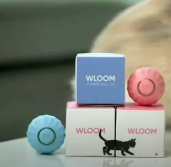 WLOOM Power Ball 2.0 --- Interaktives Katzenspielzeug, intelligenter, automatisch rollender Ball für Katzen, USB-Aufladung, rosa und blau.